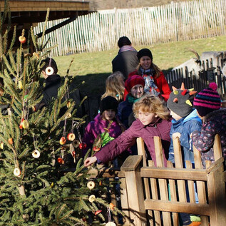 Weihnachtsbaum schmücken | © Zoo Salzburg